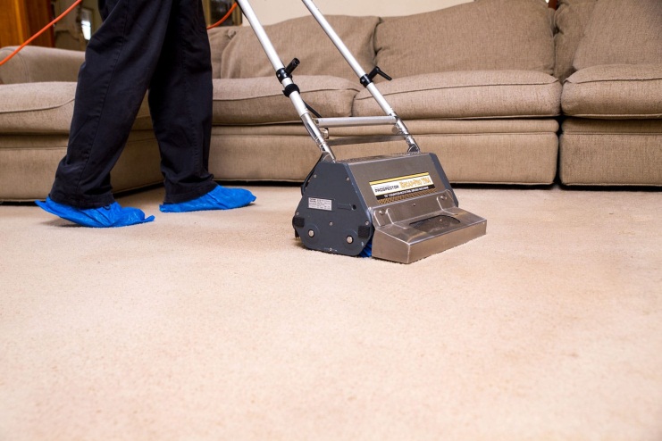 Hasil gambar untuk how to get mold out of carpet